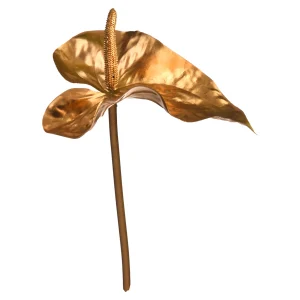 Depot Anthurium Ca. 80Cm, Silber^ Fleurs