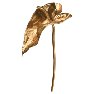 Depot Anthurium Ca. 80Cm, Silber^ Fleurs