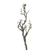 Depot Artast Pale