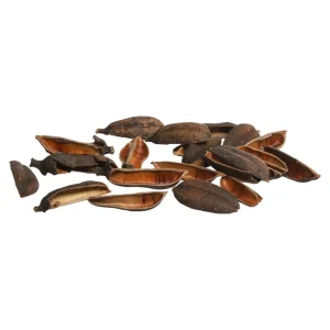Depot Article De Dispersion Naturel Seedpod