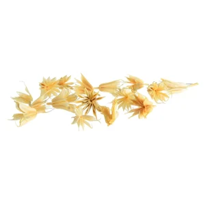 Depot Article De Dispersion Naturel Fleur De Lampe
