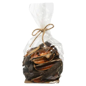 Depot Article De Dispersion Naturel Seedpod