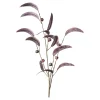 Depot Baies De Branche D'Art^ Fleurs