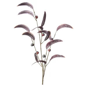 Depot Baies De Branche D'Art^ Fleurs