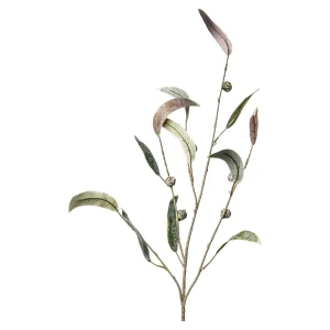 Depot Baies De Branche D'Art^ Fleurs