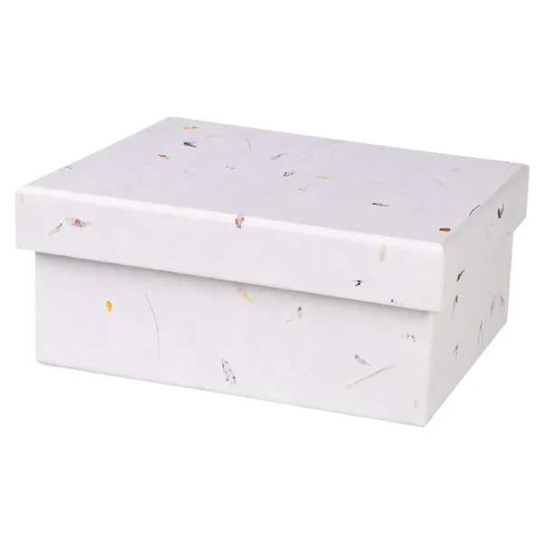 Depot Boite Cadeau Nature^ Sacs & Boîtes