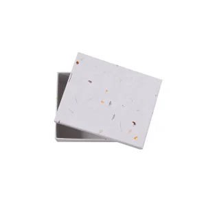 Depot Boite Cadeau Nature^ Sacs & Boîtes