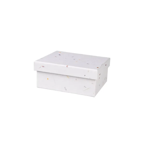 Depot Boite Cadeau Nature^ Sacs & Boîtes
