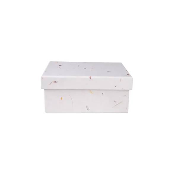 Depot Boite Cadeau Nature^ Sacs & Boîtes
