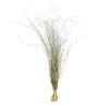 Depot Botte D'Herbe Seche