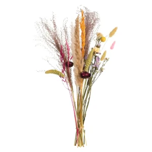 Depot Bouquet De Fleurs Sechees Flora