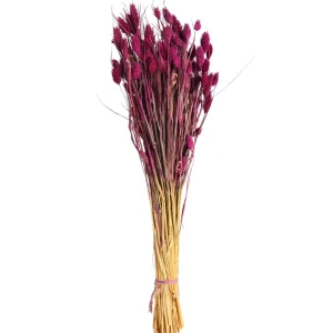 Depot Bouquet De Fleurs Sechees Phalaris
