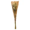 Depot Bouquet De Fleurs Sechees Herbe De Velours