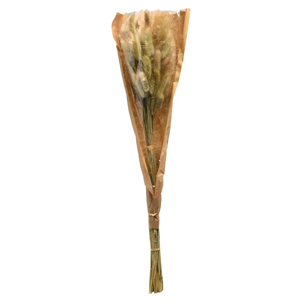 Depot Bouquet De Fleurs Sechees Herbe De Velours
