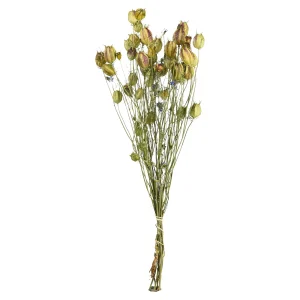Depot Bouquet De Fleurs Sechees Nigella
