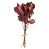 Depot Bouquet De Fleurs Sechees Leaves