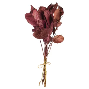 Depot Bouquet De Fleurs Sechees Leaves