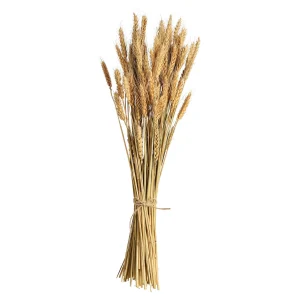 Depot Bouquet De Fleurs Sechees Epis