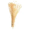 Depot Bouquet De Fleurs Sechees Wild Daisy