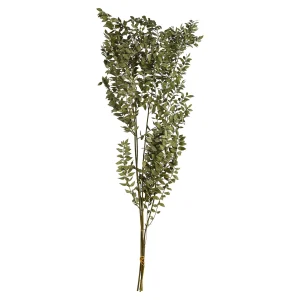 Depot Bouquet De Fleurs Sechees Ruscus