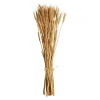 Depot Bouquet De Fleurs Sechees Epis