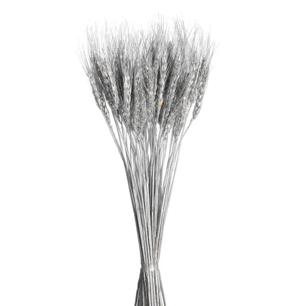 Depot Bouquet De Fleurs Sechees Epis