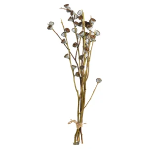 Depot Bouquet De Fleurs Sechees Branches De Bourgeons^ Décoration De La Couronne De L'Avent
