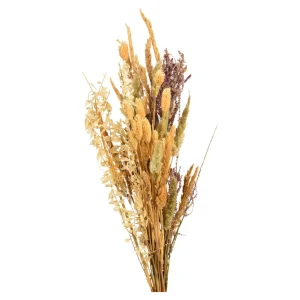 Depot Bouquet De Fleurs Sechees Dried Flowers