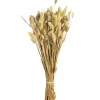 Depot Bouquet De Fleurs Sechees Herbe De Velours^ Fleurs
