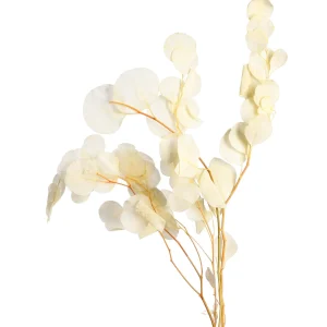 Depot Bouquet De Fleurs Sechees Eucalyptus^ Fleurs