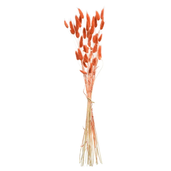 Depot Bouquet De Fleurs Sechees Herbe De Velours^ Fleurs