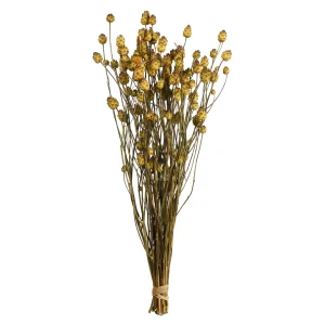 Depot Bouquet De Fleurs Sechees Tournesol^ Fleurs