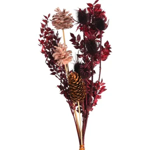 Depot Bouquet De Fleurs Sechees Glitterruscus^ Fleurs