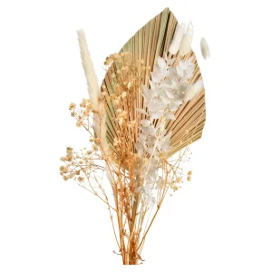Depot Bouquet De Fleurs Sechees