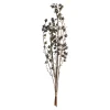 Depot Bouquet De Fleurs Sechees Baies^ Fleurs