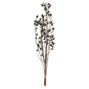 Depot Bouquet De Fleurs Sechees Baies^ Fleurs