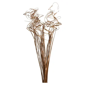Depot Bouquet De Fleurs Sechees Curly