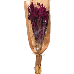 Depot Bouquet De Fleurs Sechees Phalaris