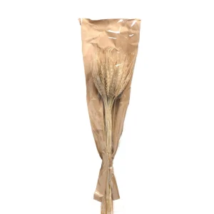 Depot Bouquet De Fleurs Sechees Epis