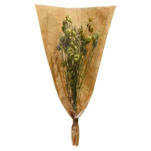 Depot Bouquet De Fleurs Sechees Nigella