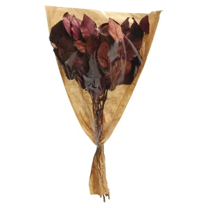 Depot Bouquet De Fleurs Sechees Leaves