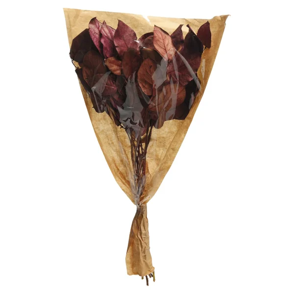 Depot Bouquet De Fleurs Sechees Leaves