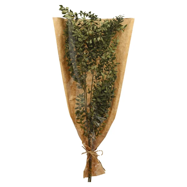 Depot Bouquet De Fleurs Sechees Ruscus