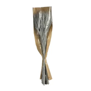 Depot Bouquet De Fleurs Sechees Epis