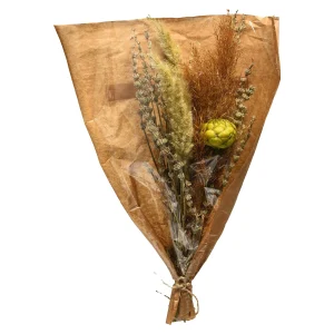 Depot Bouquet De Fleurs Sechees Dried Flowers