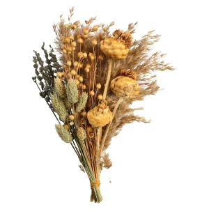 Depot Bouquet De Fleurs Sechees Dried Flowers
