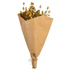 Depot Bouquet De Fleurs Sechees Tournesol^ Fleurs