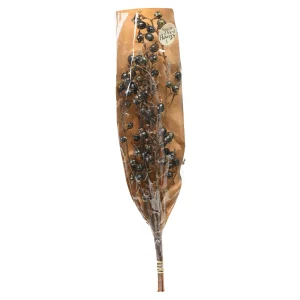 Depot Bouquet De Fleurs Sechees Baies^ Fleurs