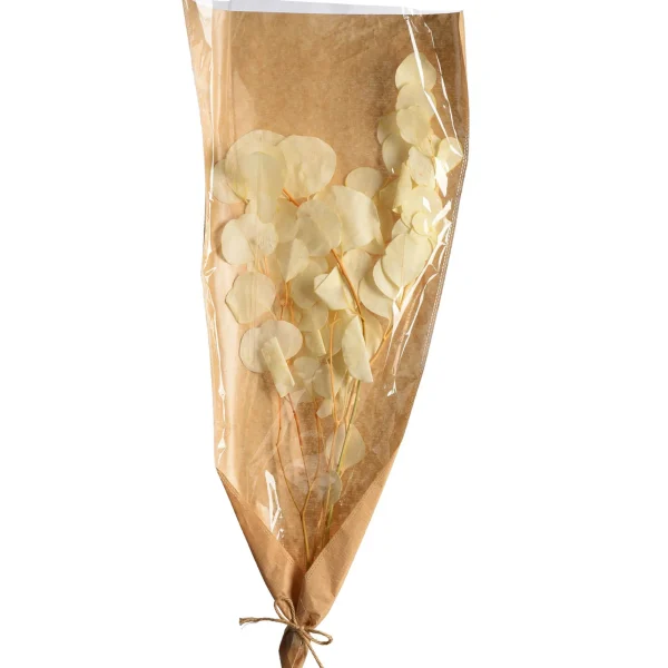 Depot Bouquet De Fleurs Sechees Eucalyptus^ Fleurs
