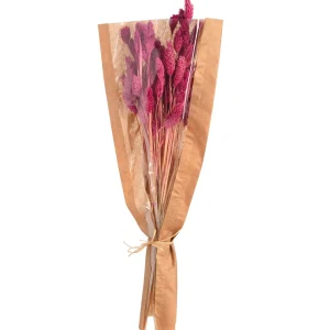 Depot Bouquet De Fleurs Sechees Herbe De Velours^ Fleurs